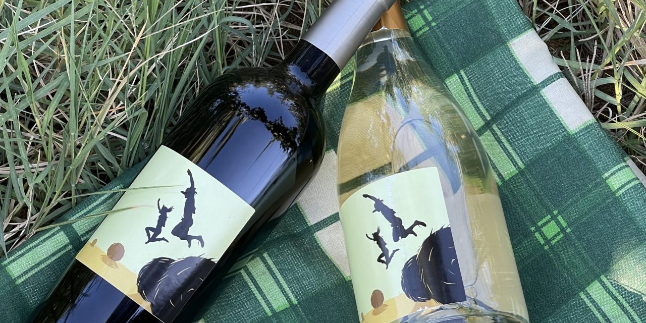 MONTE DELLE VIGNE: 5000 BOTTIGLIE PER COLTIVARE I SOGNI DI DOMANI