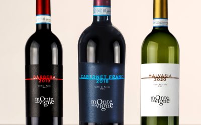 Monte delle Vigne: arrivano i nuovi vini che raccontano le colline di Parma al mondo