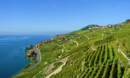 CERVIM: dal 6 all’8 maggio a Montreaux l’VIII Congresso Internazionale sulla Viticoltura di Montagna
