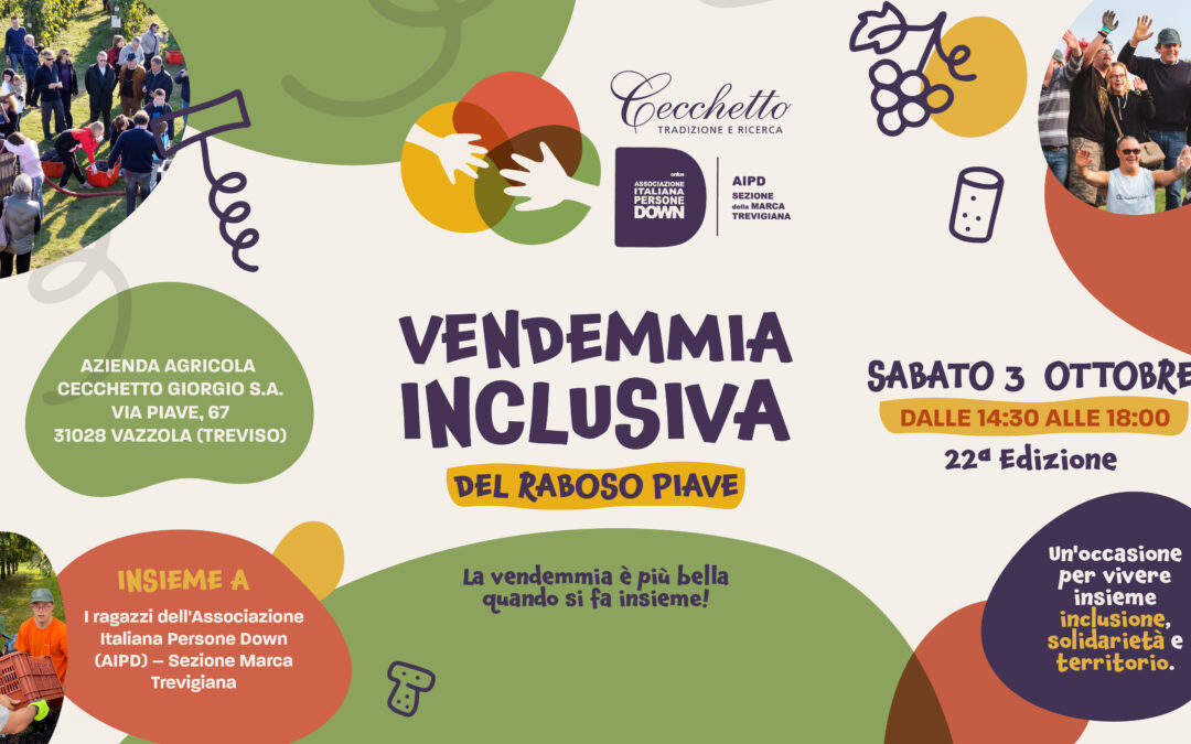 Cecchetto: la vendemmia inclusiva con AIPD apre al pubblico tra gioco, creatività e sostenibilità