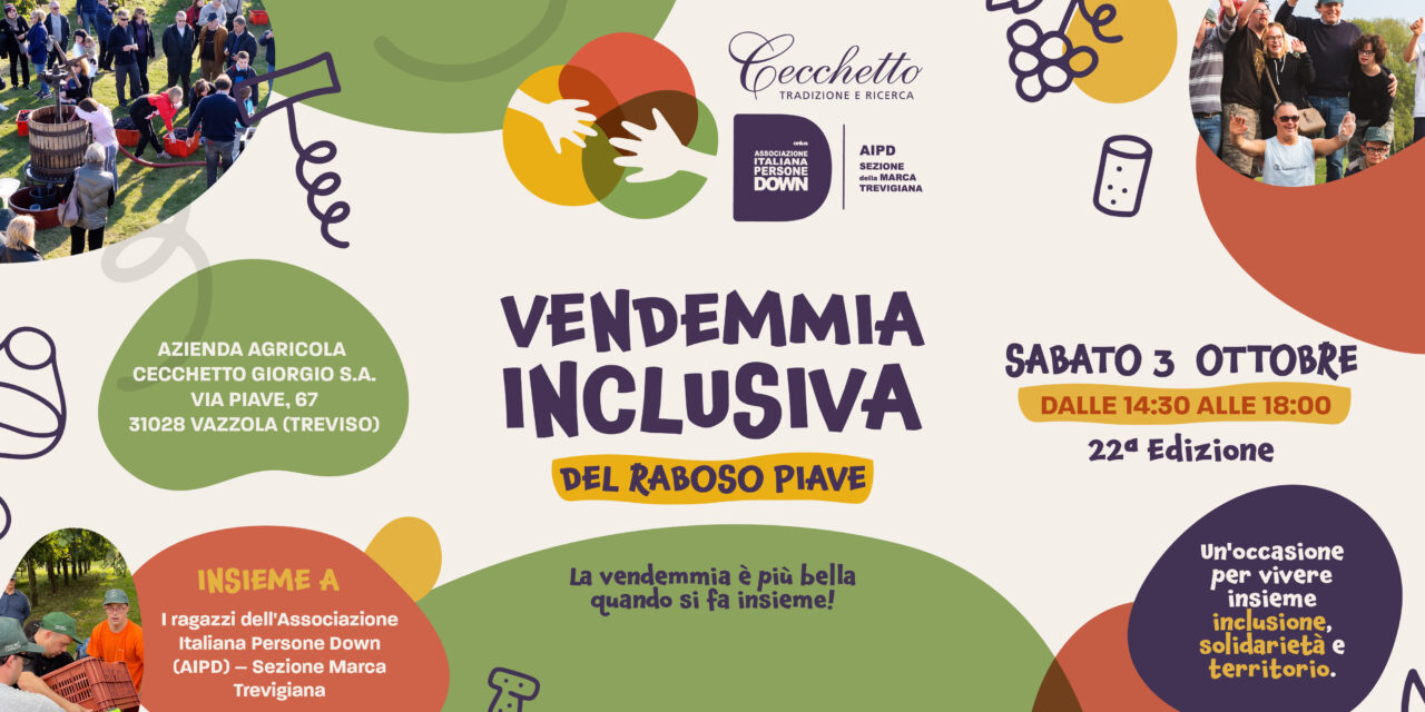Cecchetto: la vendemmia inclusiva con AIPD apre al pubblico tra gioco, creatività e sostenibilità