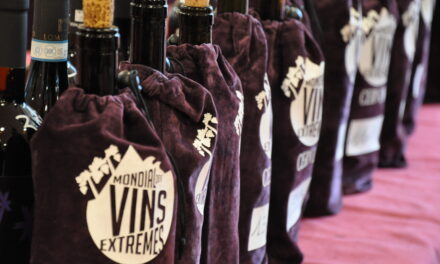 CERVIM, Mondial des Vins Extrêmes 2026: una fotografia della viticoltura eroica in 22 Paesi